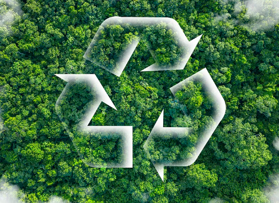 6699cd0b3da1c.png image.png